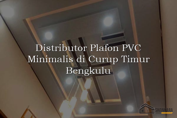 Distributor Plafon PVC Minimalis di Curup Timur Bengkulu