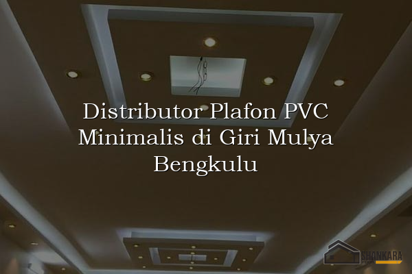 Distributor Plafon PVC Minimalis di Giri Mulya Bengkulu