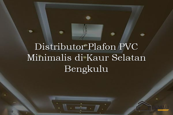 Distributor Plafon PVC Minimalis di Kaur Selatan Bengkulu