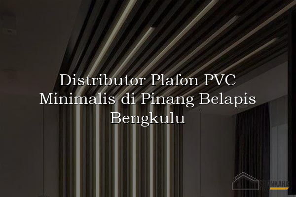 Distributor Plafon PVC Minimalis di Pinang Belapis Bengkulu