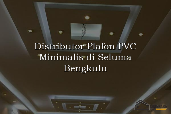 Distributor Plafon PVC Minimalis di Seluma Bengkulu