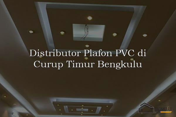 Distributor Plafon PVC di Curup Timur Bengkulu