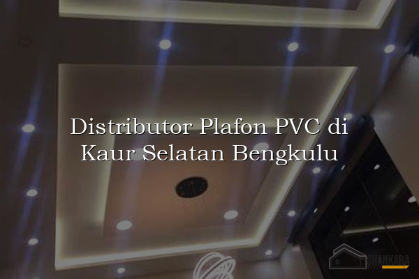 Distributor Plafon PVC di Kaur Selatan Bengkulu