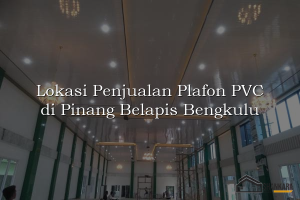 Lokasi Penjualan Plafon PVC di Pinang Belapis Bengkulu