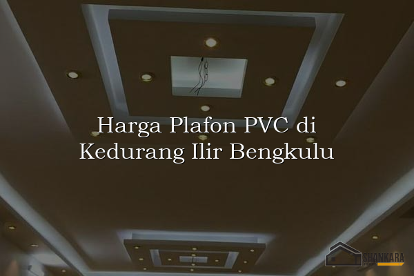 Harga Plafon PVC di Kedurang Ilir Bengkulu