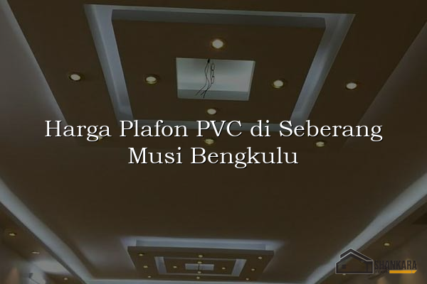 Harga Plafon PVC di Seberang Musi Bengkulu