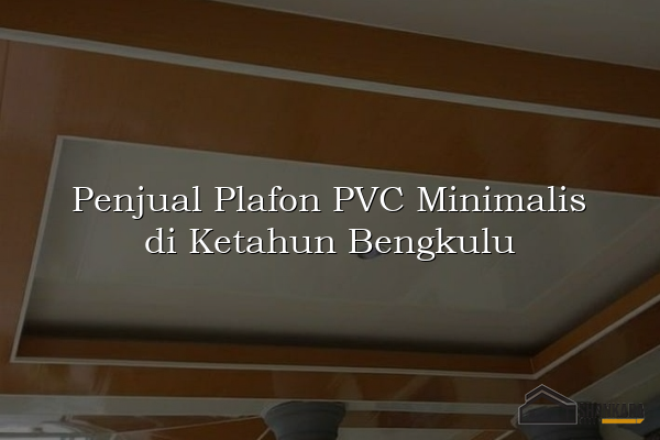 Penjual Plafon PVC Minimalis di Ketahun Bengkulu