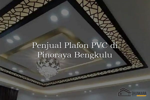 Penjual Plafon PVC di Pinoraya Bengkulu