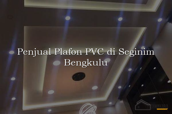Penjual Plafon PVC di Seginim Bengkulu