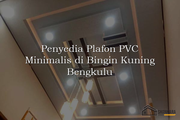 Penyedia Plafon PVC Minimalis di Bingin Kuning Bengkulu