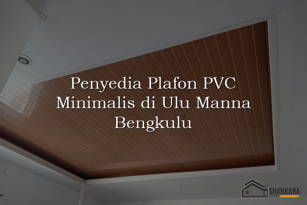 Penyedia Plafon PVC Minimalis di Ulu Manna Bengkulu