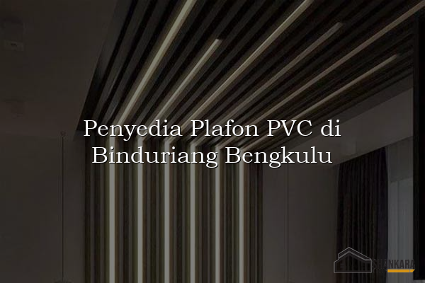 Penyedia Plafon PVC di Binduriang Bengkulu