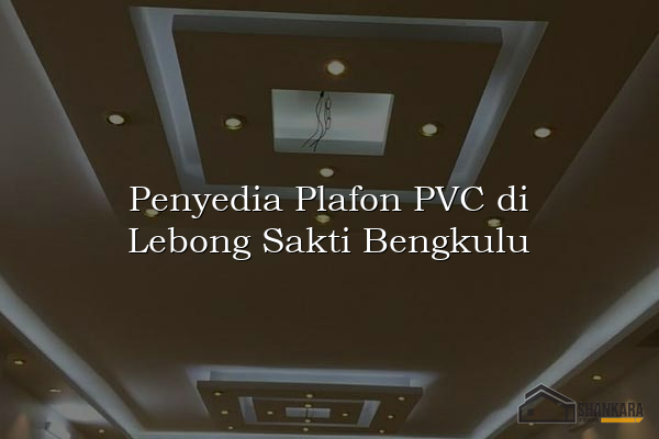 Penyedia Plafon PVC di Lebong Sakti Bengkulu