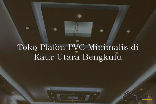 Toko Plafon PVC Minimalis di Kaur Utara Bengkulu